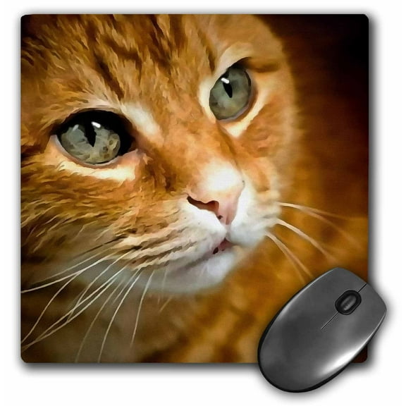 3dRose, Adorable Ginger Tabby Cat Posing, MousePad