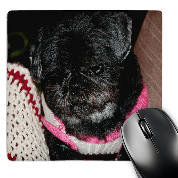 3dRose, Adorable Shiatsu Pug Pet Dog in Vibrant Pink and Green Sweater With Cute Hair Cut Close Up, MousePad