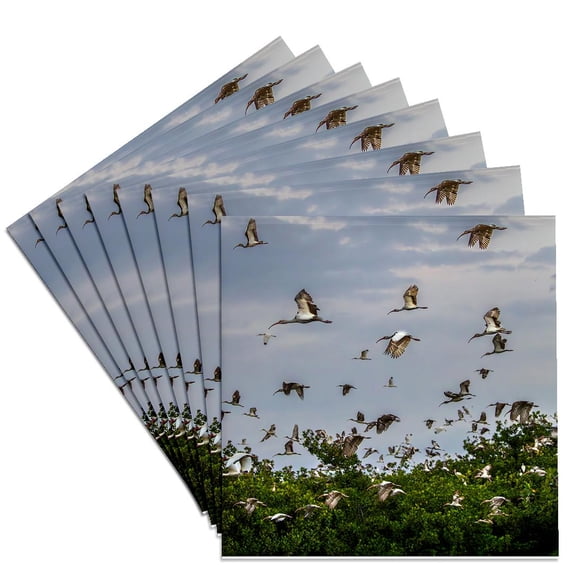 3drose, Adult and Juvenile White Ibis Leaving Roost. South Florida., Set of 8 Ceramic Tile Coasters