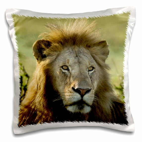 3drose, Adult Male Lion, Maasai Mara, Kenya - Af21 Aje0765 - Adam Jones, 16x16 inch Pillow Case