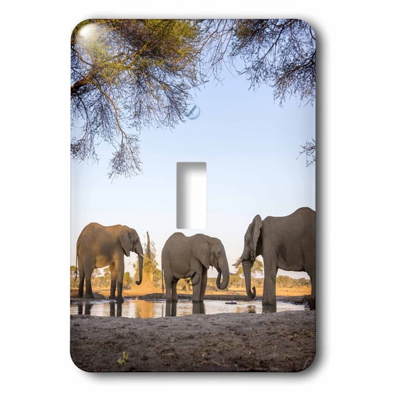 3dRose, Africa, Botswana, Senyati Safari Camp. Elephants at waterhole. , single toggle switch