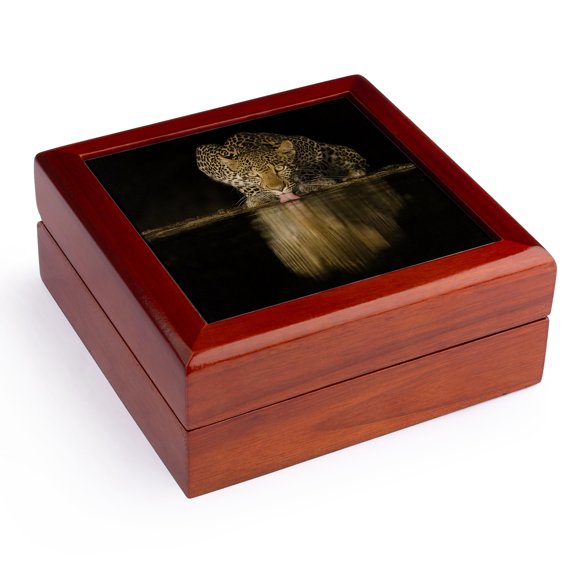 3dRose, Africa, Kenya, Amboseli National Park. Leopard waterhole at night., Jewelry Box 5.5x5.5 inch with 4 inch tile