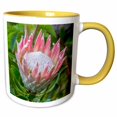 thumbnail image 1 of 3drose, Africa, South Africa, Cape Town. King Protea Flower Close-up., 11oz Two-tone Yellow Mug, 1 of 6