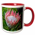 thumbnail image 1 of 3drose, Africa, South Africa, Cape Town. King Protea Flower Close-up., 15oz Two-tone Red Mug, 1 of 6