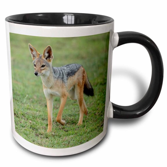 3drose, Africa, Tanzania. Portrait of a Black-backed Jackal., 15oz Two-tone Black Mug