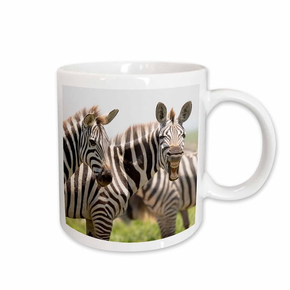 3drose, Africa, Tanzania. Portrait of a Group of Zebra with One Yawning., 11oz Mug
