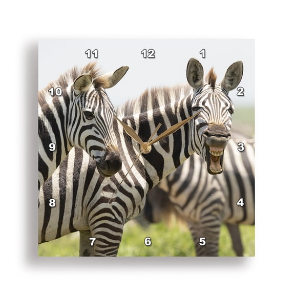 3dRose, Africa, Tanzania. Portrait of a group of zebra with one yawning., 15x15 Wall Clock