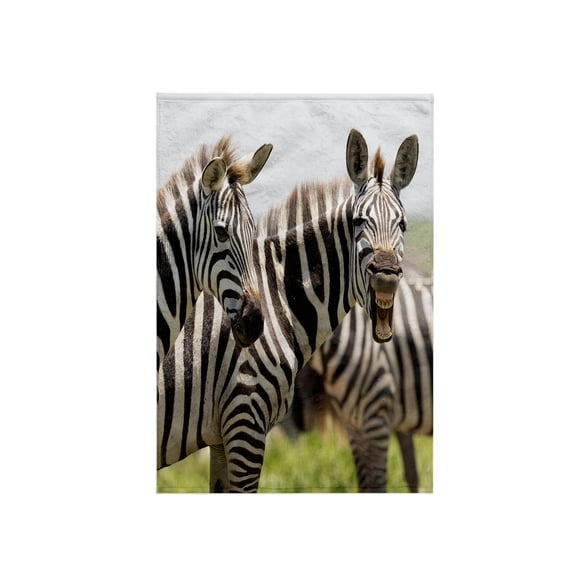 3dRose, Africa, Tanzania. Portrait of a group of zebra with one yawning., 15x22 Hand Towel