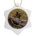 thumbnail image 1 of 3drose, Africa, Tanzania, Serengeti. Leopard, Panthera Pardus., 3 inch Snowflake Porcelain Ornament, 1 of 7