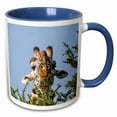 thumbnail image 1 of 3drose, Africa, Tanzania, Serengeti. Maasai Giraffe with Red-billed Oxpecker., 11oz Two-tone Blue Mug, 1 of 6