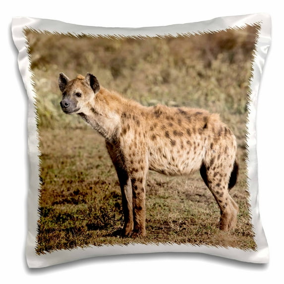 3dRose, Africa, Tanzania, Serengeti. Spotted hyena, Crocuta crocuta., 16x16 inch Pillow Case