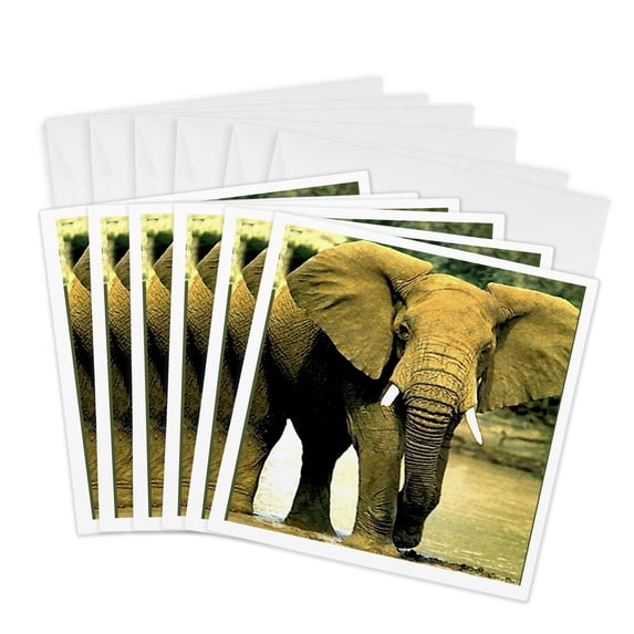 3drose, African Elephant, 6 Greeting Cards with Envelopes