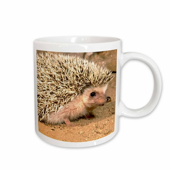 3drose, African Hedgehog Wildlife, Native to Africa - Na02 Dno0400 - David Northcott, 15oz Mug