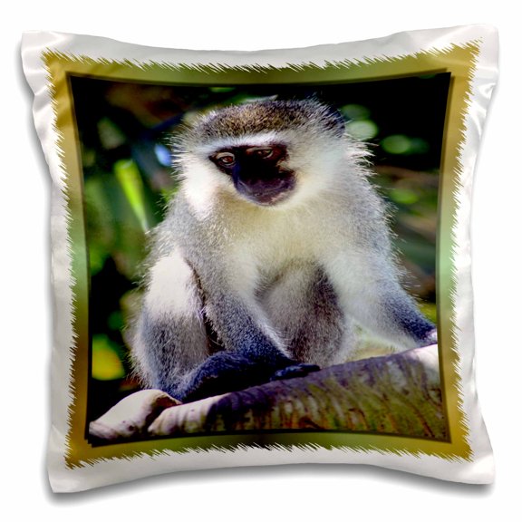 3dRose, African Monkey, 16x16 inch Pillow Case