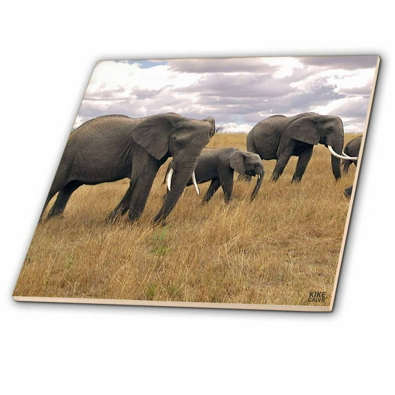 3dRose, African elephant, Loxodonta africana, Masai Mara National Park Kenya Africa 5, 12 Inch Ceramic Tile