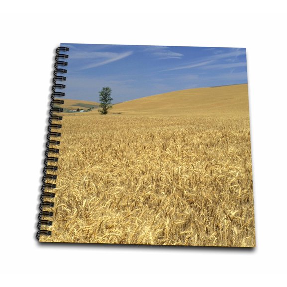 3dRose, Agriculture, Golden wheat near Pendleton, Oregon - US38 DFR0102 - David R. Frazier, Mini Notepad 4 x 4 inch