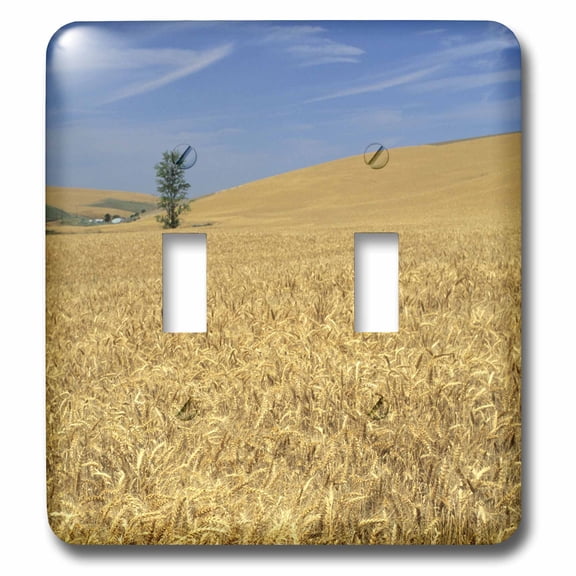 3dRose, Agriculture, Golden wheat near Pendleton, Oregon - US38 DFR0102 - David R. Frazier, double toggle switch
