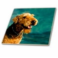 thumbnail image 1 of 3dRose, Airedale Terrier, 6 Inch Ceramic Tile, 1 of 1