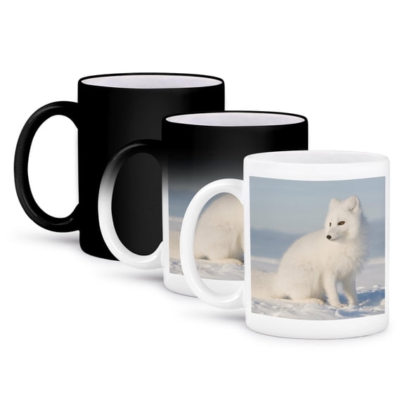 3dRose, Alaska, 1002 Coastal Plain, ANWR, arctic fox - US02 SKA4921 - Steve Kazlowski, 11oz Magic Transforming Mug