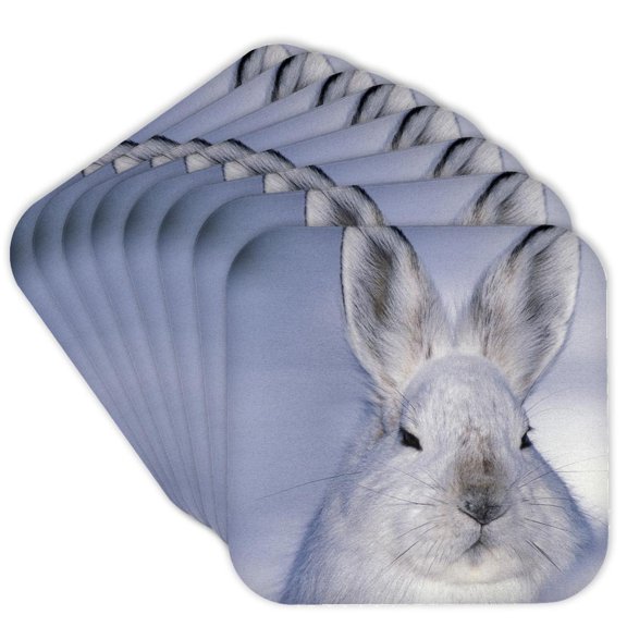 3dRose, Alaska, ANWR. Snowshoe hare wildlife in winter fur - US02 HRO0084 - Hugh Rose, Set of 8 Coasters - Soft