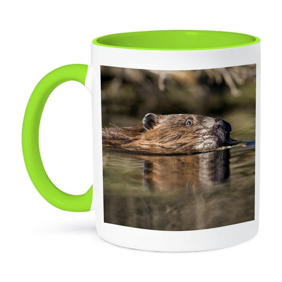 Alaska, Denali National Park, Beaver Wildlife - Us02 Pso0658 - Paul Souders, 11oz Two-Tone Green Mug
