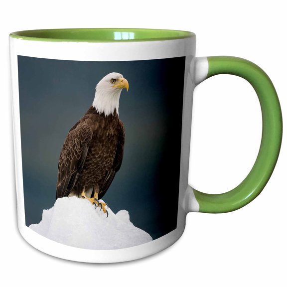 3drose, Alaska, Holkham Bay, Bald Eagle on Iceberg - Us02 Pso0719 - Paul Souders, 11oz Two-tone Green Mug