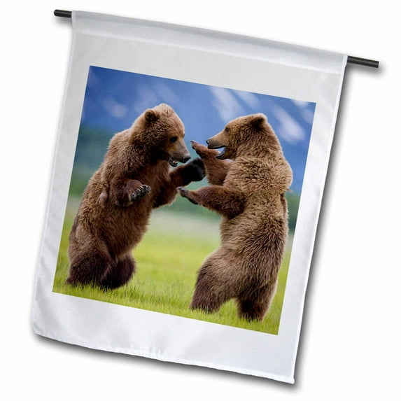 3dRose, Alaska, Katmai NP, Brown Bear, Hallo Bay - US02 PSO0895 - Paul Souders, 12 x 18 inch Garden Flag