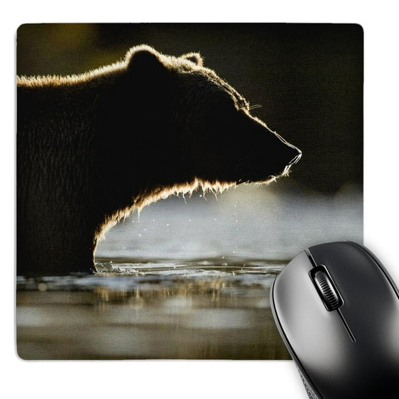 3dRose, Alaska, Katmai National Park, Grizzly Bear - US02 PSO1294 - Paul Souders, MousePad
