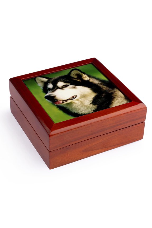 , Alaska Malamute Dog, Jewelry Box 5.5x5.5 inch with 4 inch tile