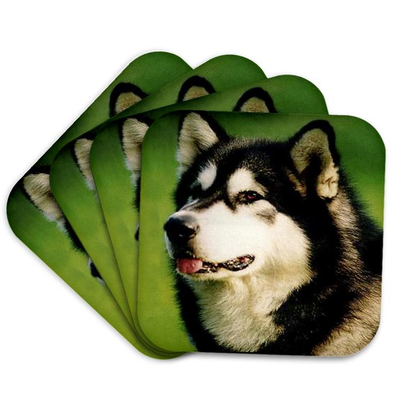 3drose, Alaska Malamute Dog, Set of 4 Coasters - Soft