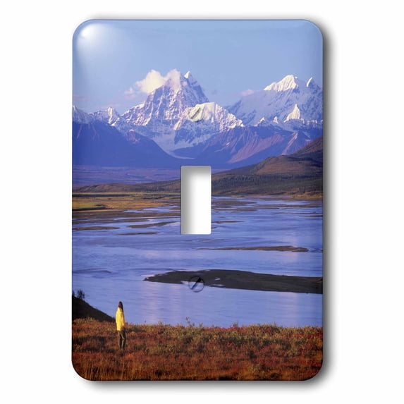 3dRose, Alaska Mountain Range, Susitna River, Denali, Alaska - US02 HGA0159 - Howie Garber, single toggle switch
