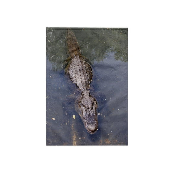 3dRose, Alligator, 15x22 Hand Towel