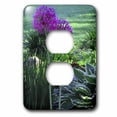 thumbnail image 1 of 3dRose, Alliums, 2 plug outlet cover, 1 of 1