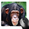 thumbnail image 1 of 3dRose, Almost Human Chimpanzee, MousePad, 1 of 7