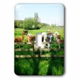 thumbnail image 1 of 3dRose, Alpaca. Lama. South America. Farm., single toggle switch, 1 of 1