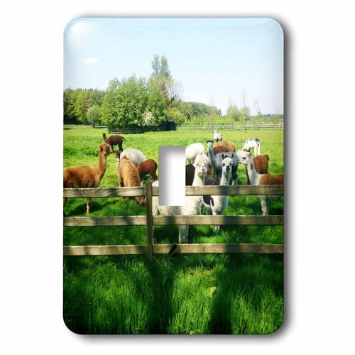 3dRose, Alpaca. Lama. South America. Farm., single toggle switch