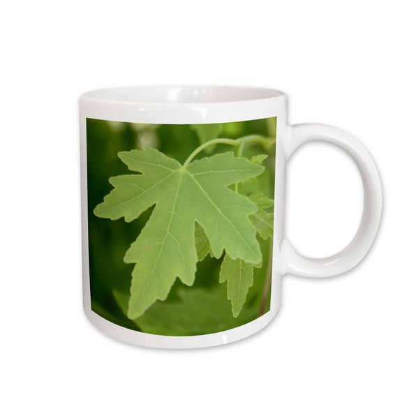 3drose, Amber Orientalis Leaves, 15oz Mug