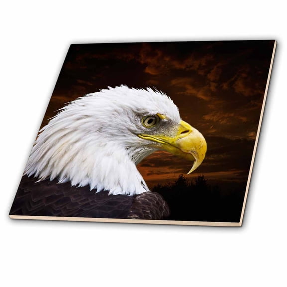 3dRose, American Bald Eagle Art Home Dcor and Art, 6 Inch Glass Tile