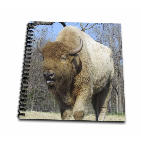 3dRose, American Bison - buffalo, Memory Book 12 x 12 inch