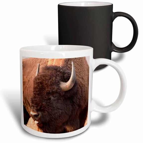 3drose, American Bison Herd in Teton Np, Wyoming, Usa, 11oz Magic Transforming Mug