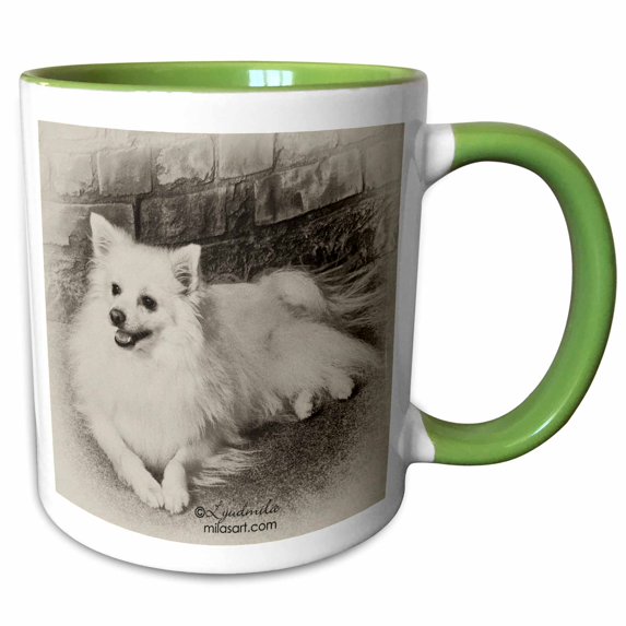 3drose, American Eskimo Dog, 11oz Two-tone Green Mug