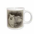 thumbnail image 1 of 3drose, American Eskimo Dog, 15oz Mug, 1 of 6