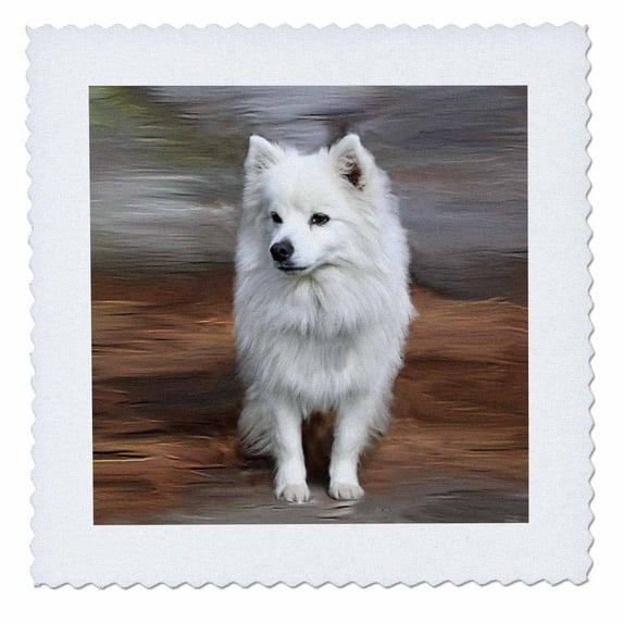 3dRose, American Eskimo Toy Dog, 10x10 inch quilt square