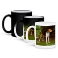 thumbnail image 1 of 3dRose, American Foxhound, 11oz Magic Transforming Mug, 1 of 8