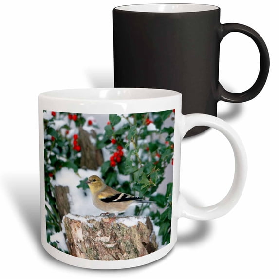 3drose, American Goldfinch on Stump Near China Holly in Winter, Marion, Il, 11oz Magic Transforming Mug
