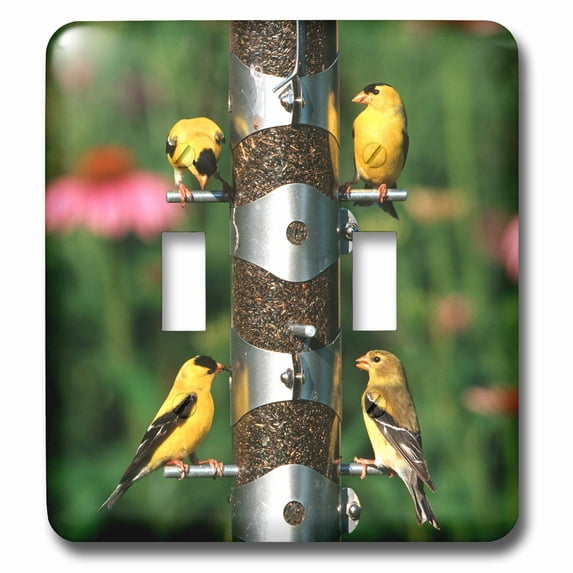 3dRose, American Goldfinches males and female on thistle tube feeder, double toggle switch