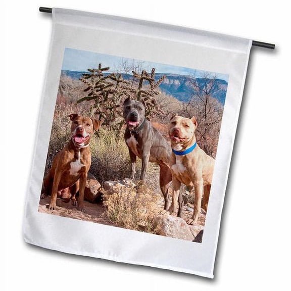 3dRose, American Pitt Bull Terrier dog, New Mexico - US32 ZMU0030 - Zandria Muench Beraldo, 18 x 27 inch Garden Flag