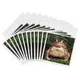 thumbnail image 1 of 3drose, American Toad - Na02 Dno0124 - David Northcott, 12 Greeting Cards with Envelopes, 1 of 7