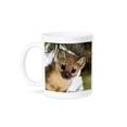 thumbnail image 1 of 3dRose, American marten in lodgepole pine tree. Harriman SP, Idaho, USA, 11oz Mug, 1 of 7