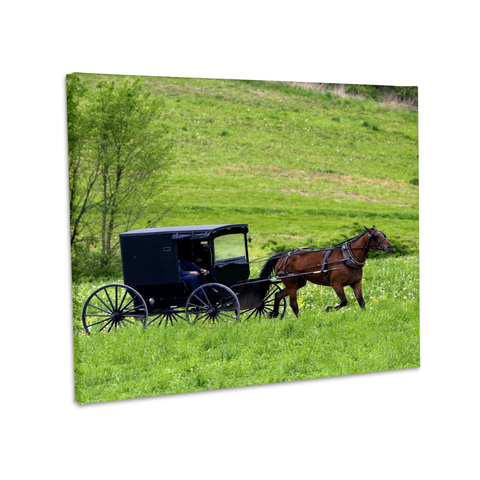 3dRose, Amish farm with horse buggy near Berlin, Ohio US36